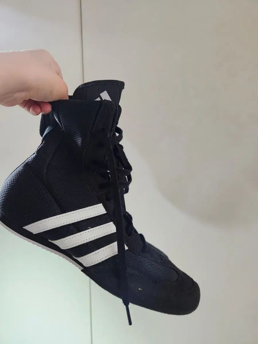 235 adidas アディダス 豚 ボクシング シューズ 8 のみ
