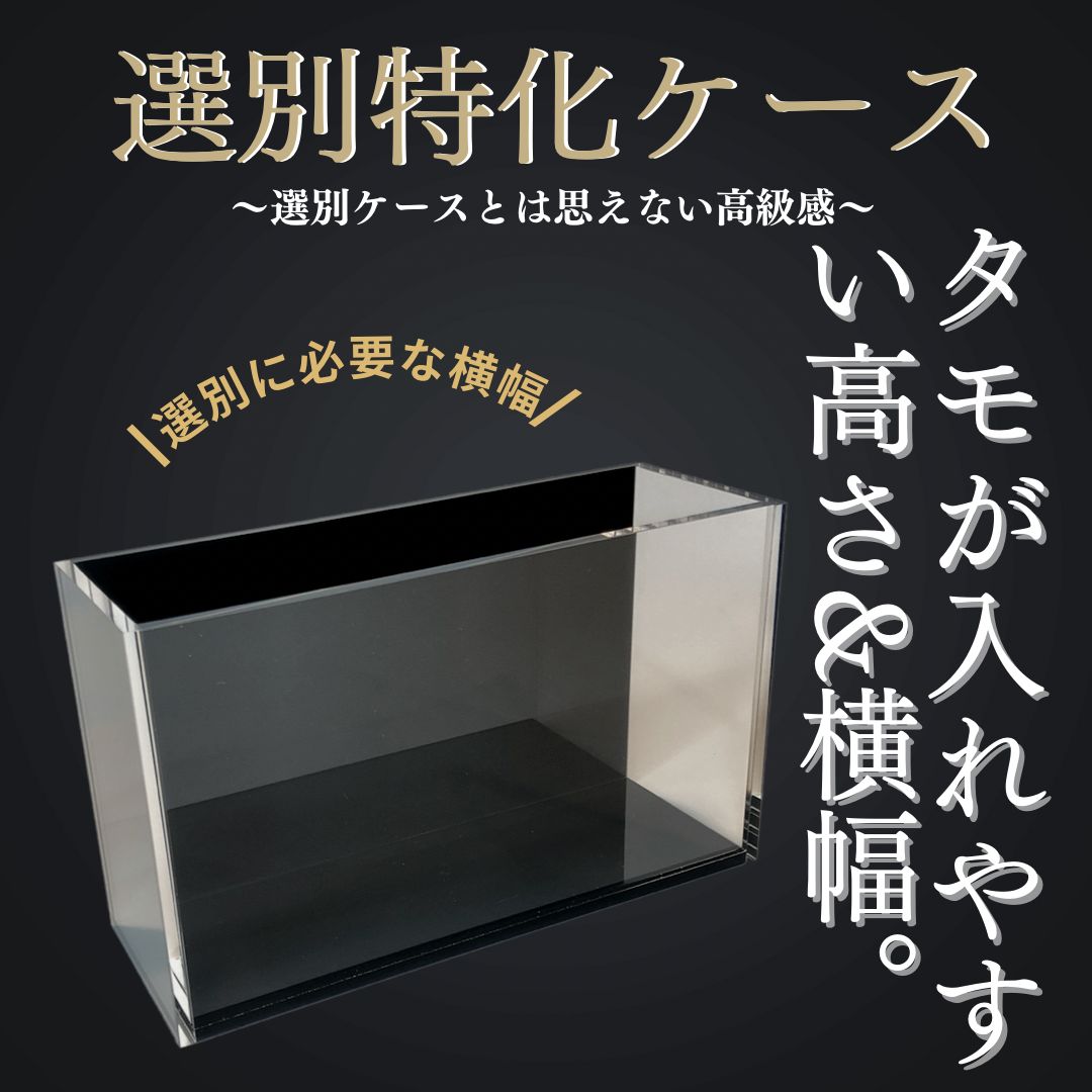 五藤めだか】選別特化AB品(黒) メダカ用 ケース 撮影 横見 - メルカリ