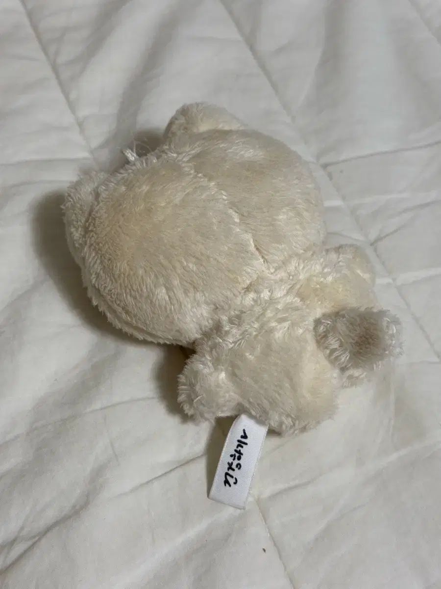 ASTRO ムンビン　MOONBIN ぬいちゃん　タンコン　りんご ASTRO ムンビン ユンサナ MOONBIN ぬいちゃん タンコン りんご