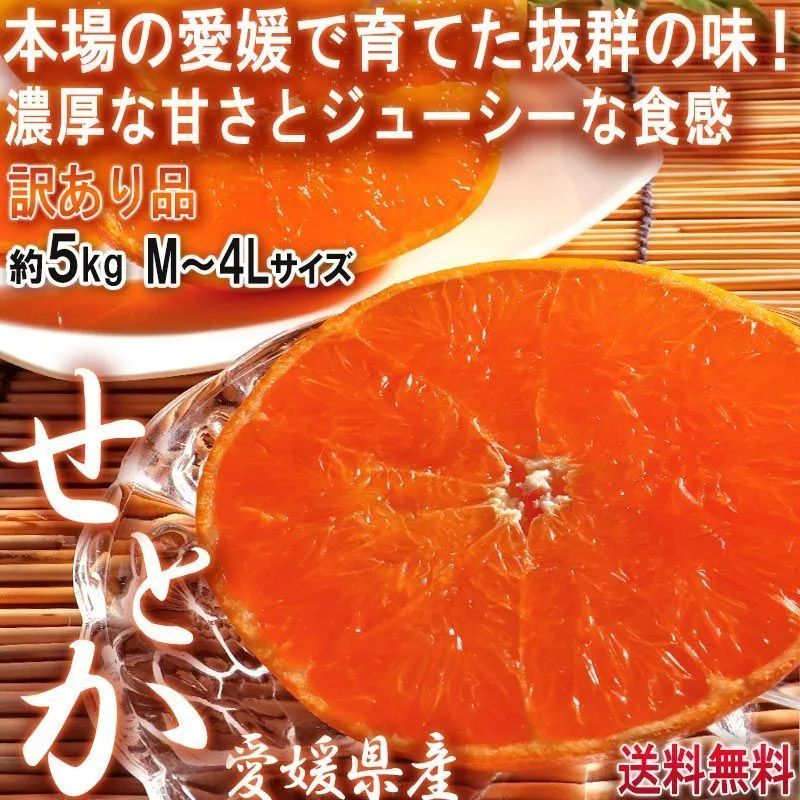 せとか 4個 L・2Lサイズ 約1kg 愛媛みかん - 果物