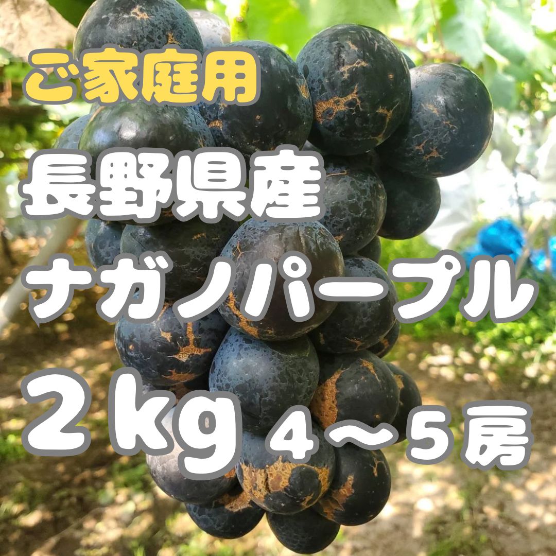 ナガノパープル 家庭用4kg - 食品