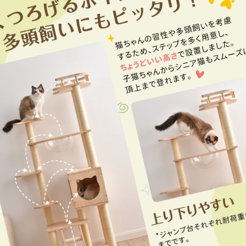 ファッショナブルなペット構造