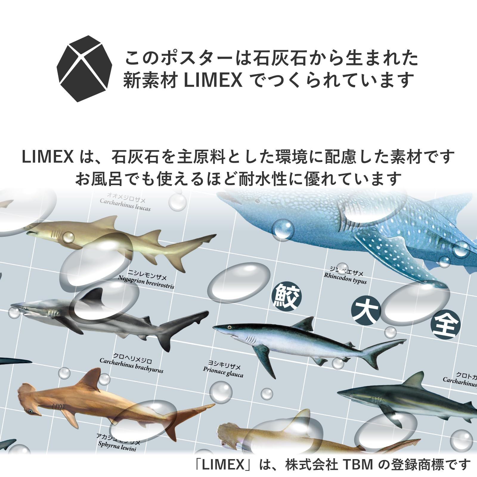 人気商品】ザ・アクセス ポスター 防水 鮫 サメ おふろポスター