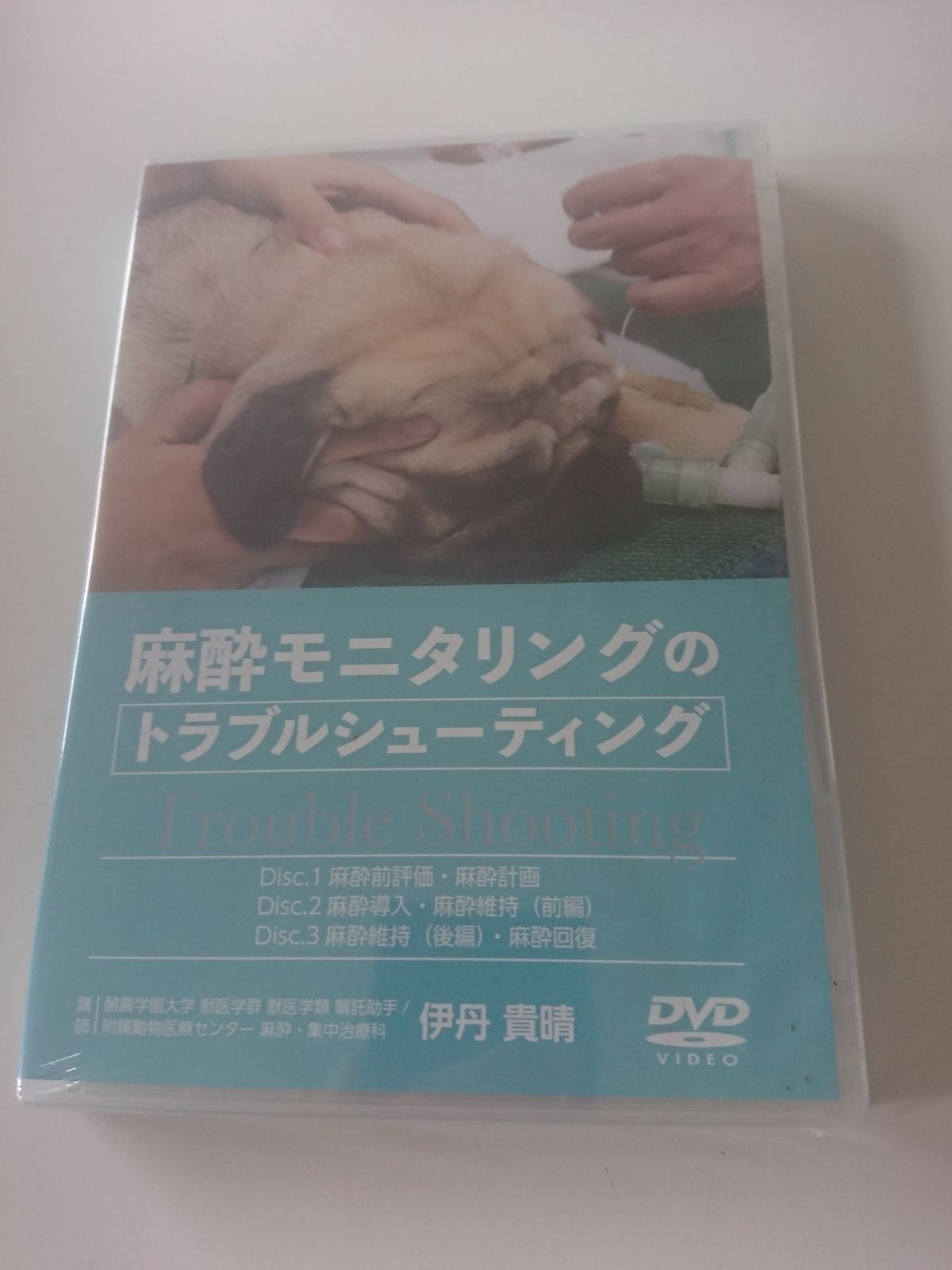 向井ゆき メンタープログラム DVD - その他