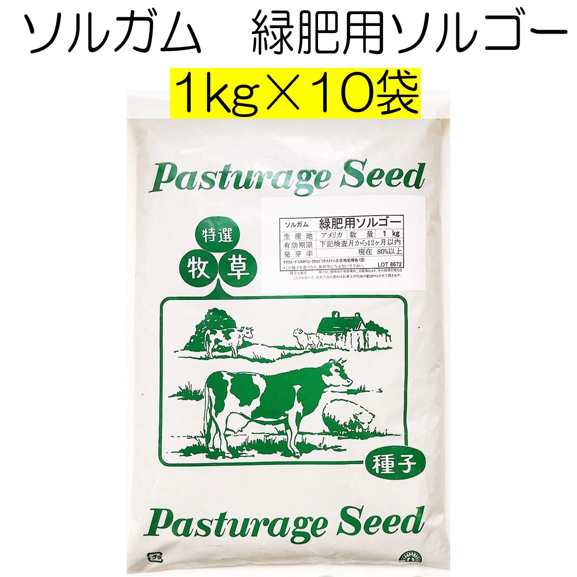 ソルガム種子 緑肥用ソルゴー 10kg 種 緑肥 ソルガム 春まき 夏の緑肥