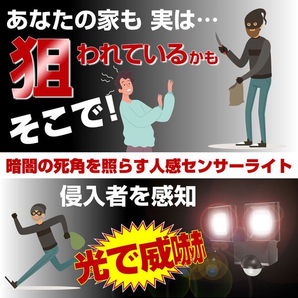 ELPA 防犯ライト