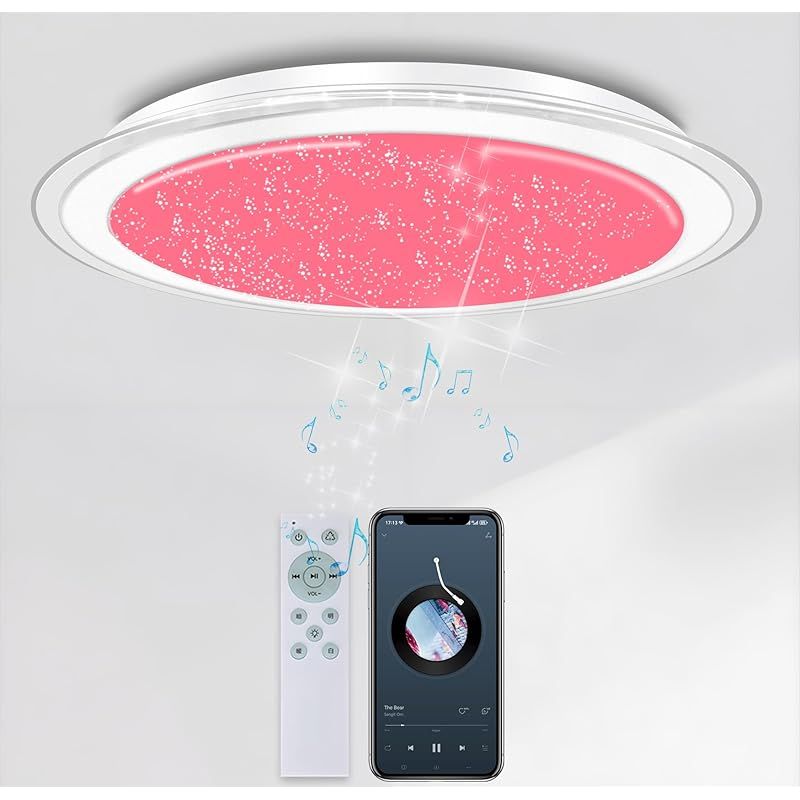 アカシア スペクタビリス 大苗 来春開花株 1鉢限り 在庫なし 2025年