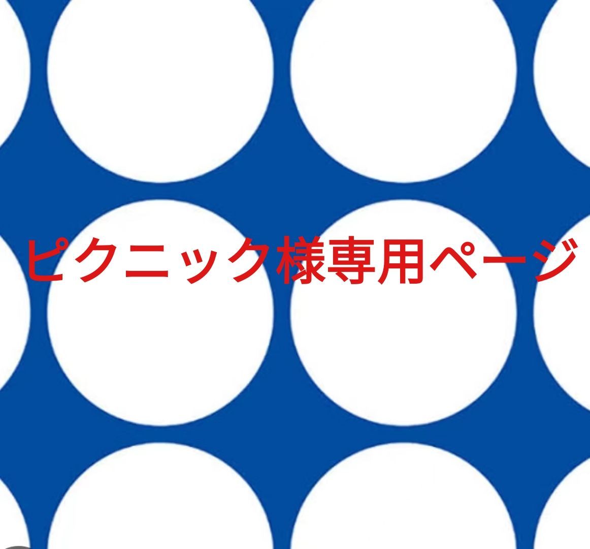 ピクニック様専用ページです。