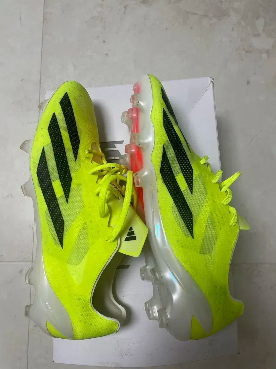 Joma Top Flex Plus 25.5（joma / TOP FLEX 2527 TURQUIOSE IN