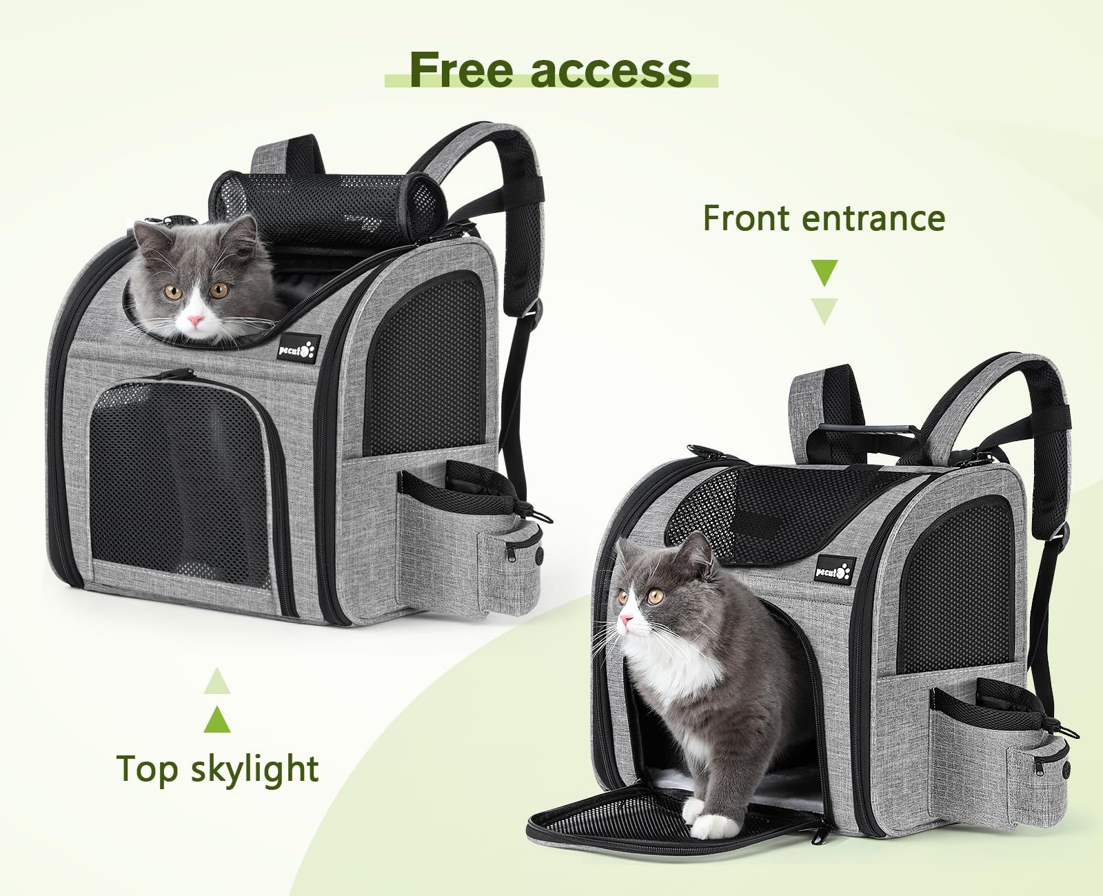 猫 猫