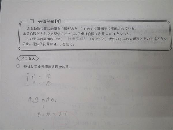 駿台 生物 遺伝特講 テキスト 2023 夏期 大森徹 008s0D 駿台 生物 遺伝特講 2023 大森徹 ☆ 004s0C : ブックスドリーム