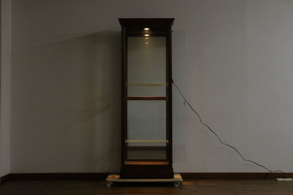 HOWARD MILLER｜ハワードミラー｜照明付｜キュリオケース｜飾り棚