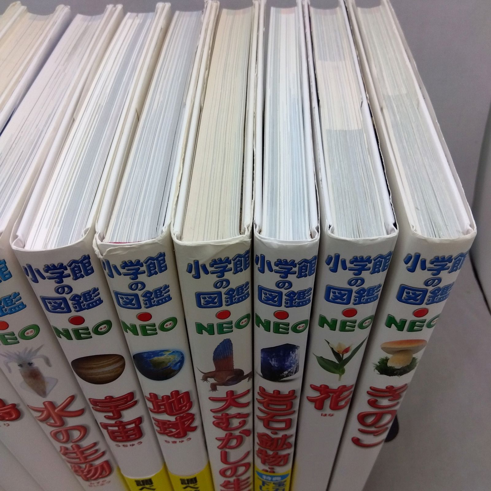 小学館の図鑑 NEO 11冊セット 植物 昆虫 魚 鳥 水の生物 宇宙 地球