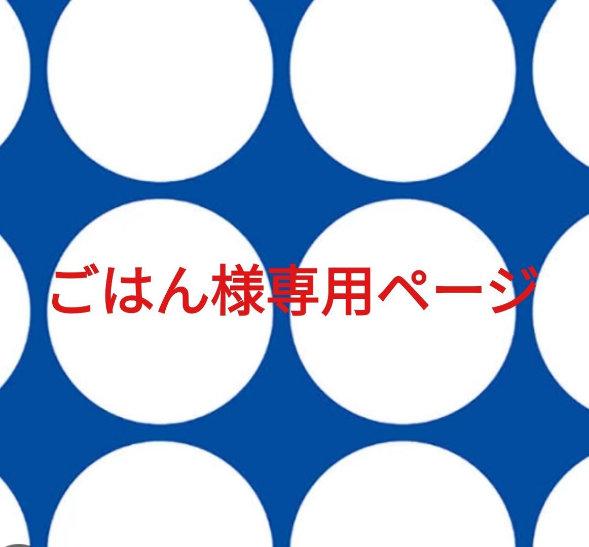 ごはん様専用ページです。