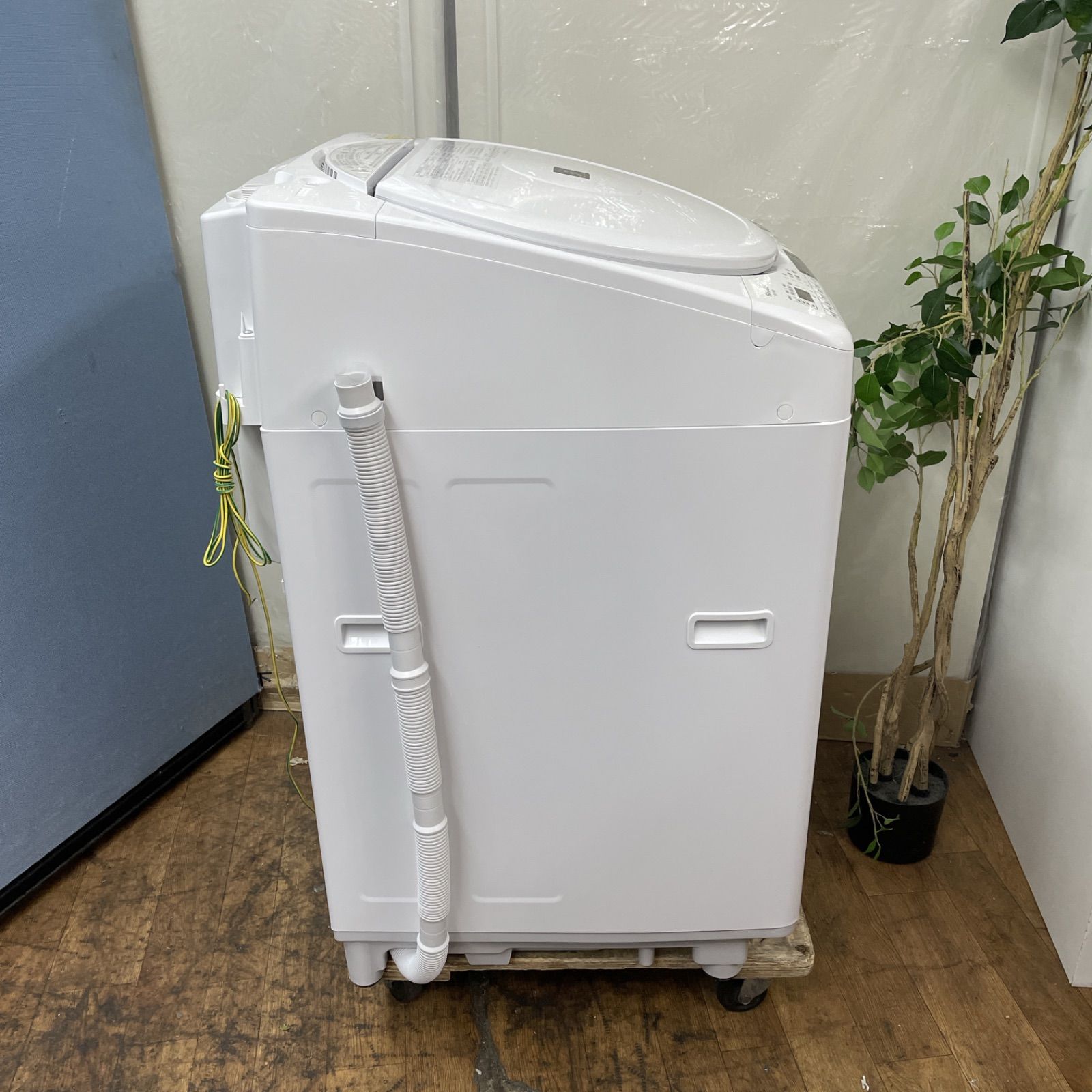 名古屋近郊限定　2023年 洗濯機　シャープ　8kg 美品 R084 ☀️ 名古屋市近郊配送設置無料！ プラズマクラスター搭載
