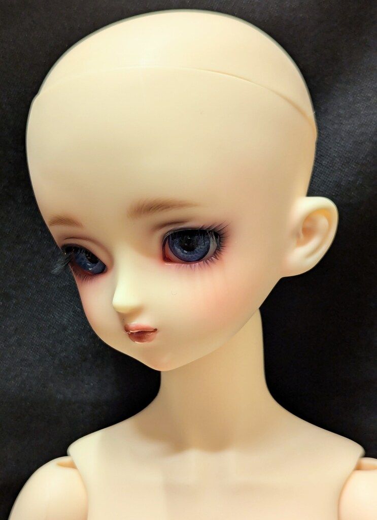 メモリアルワンオフモデル 蘭