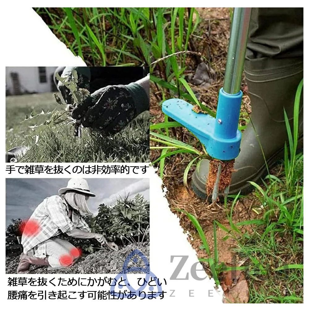 草取り 草むしり