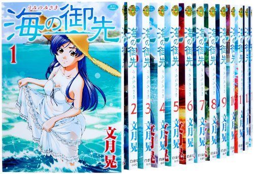 「非常に良い」海の御先 コミック 1-14巻セット (ジェッツコミックス)