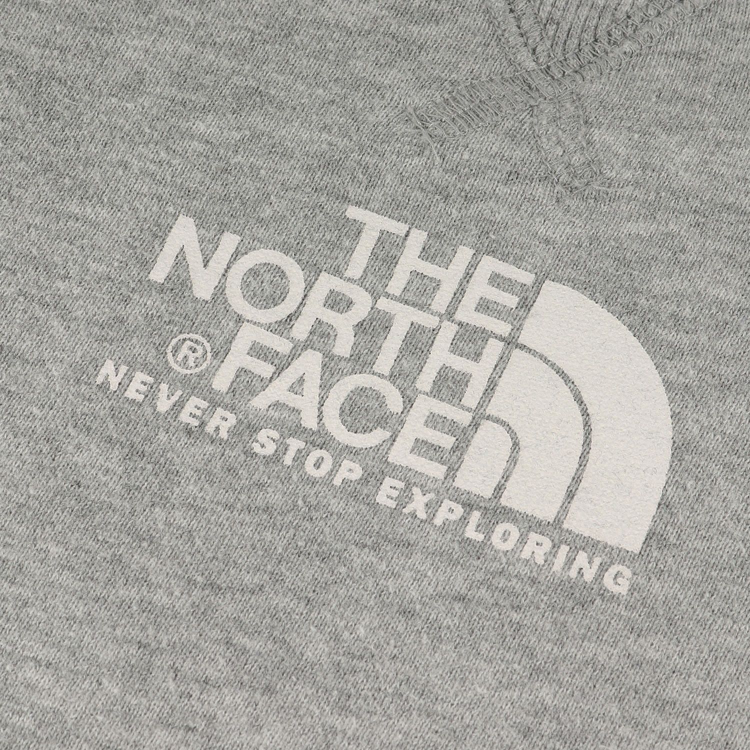 THE NORTH FACE ノースフェイス ゼビオグループ限定 ロゴ プリント 