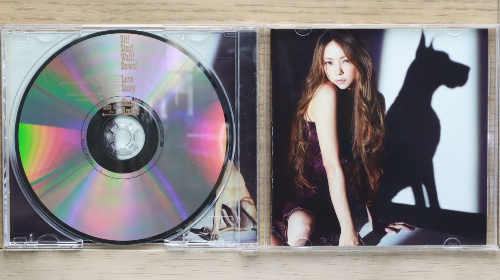 安室奈美恵DVD＆CD namie amuro LIVE STYLE 2014（豪華盤2枚組DVD）｜安室奈美恵