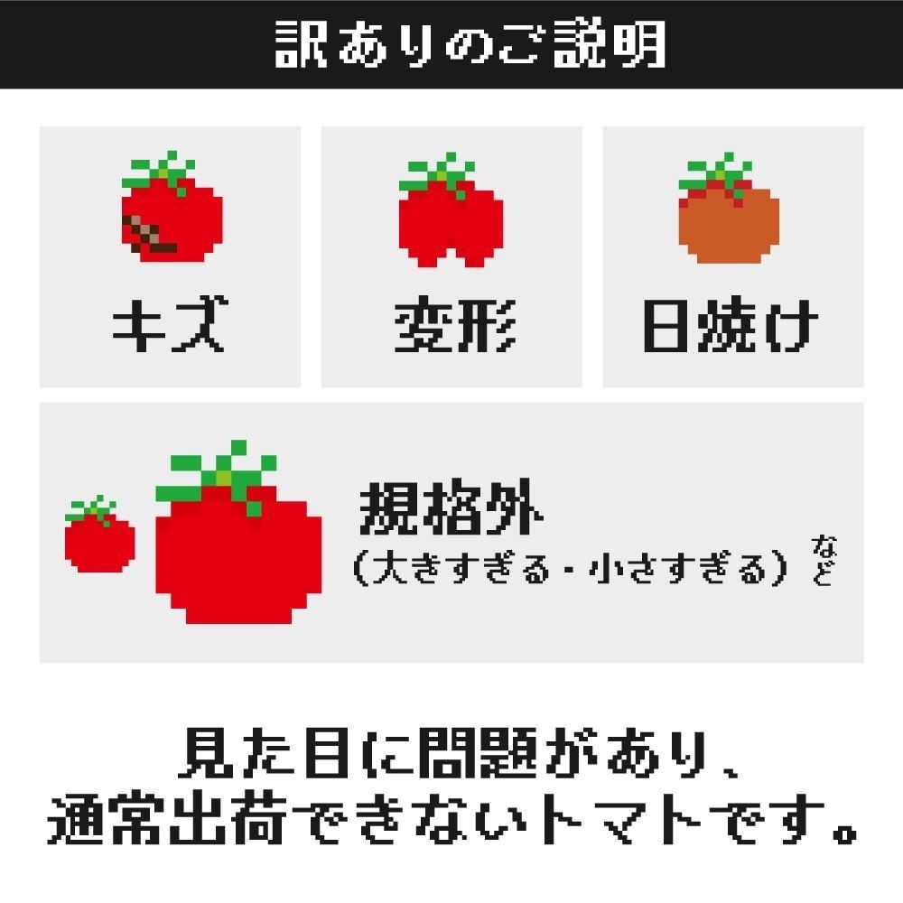 【クール便】まるかじり農園の自信作　王様トマト　無選別　訳あり-1