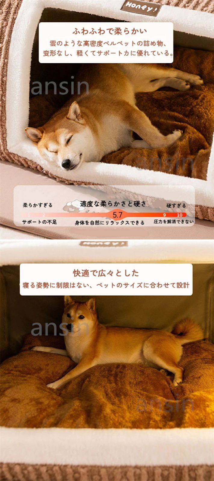 ドームサイズ XL