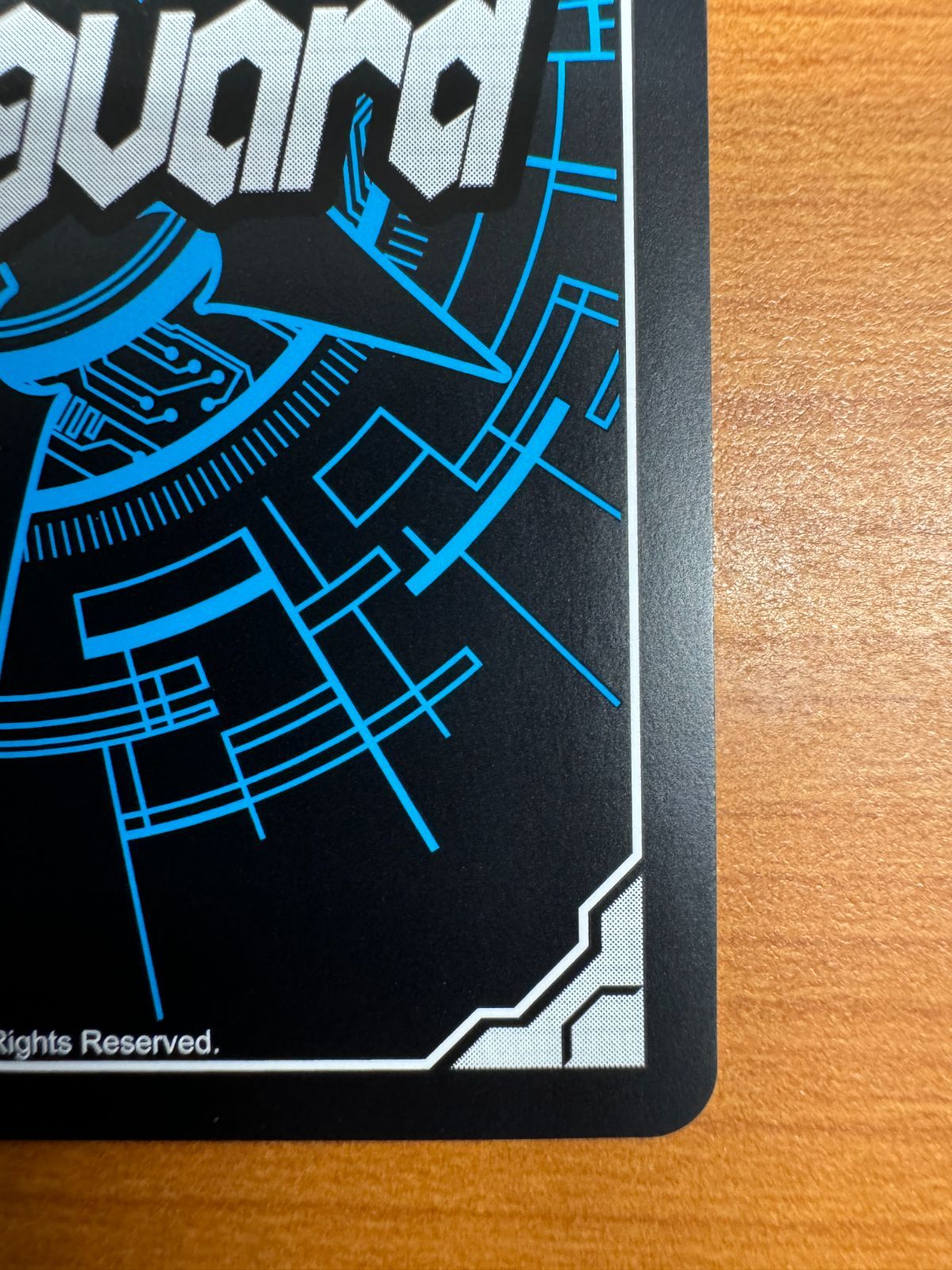 美品】無双の魔刃竜 ヴァルガ・ドラグレス 羅刹 DSR DZ-BT05