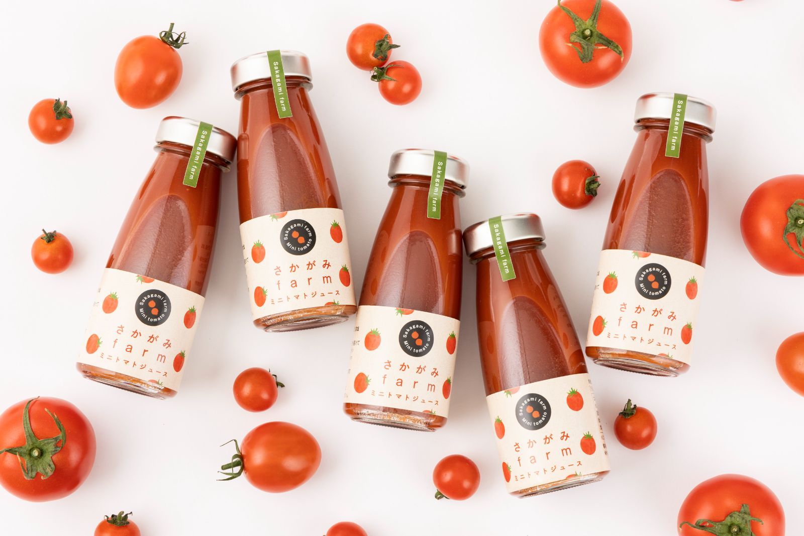 新品・未開封】ビズリーチ ドンペリ 2013年 ※アンバサダーカード無し