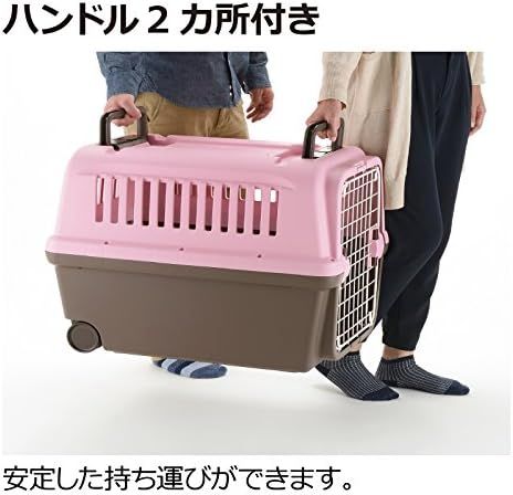 大型犬