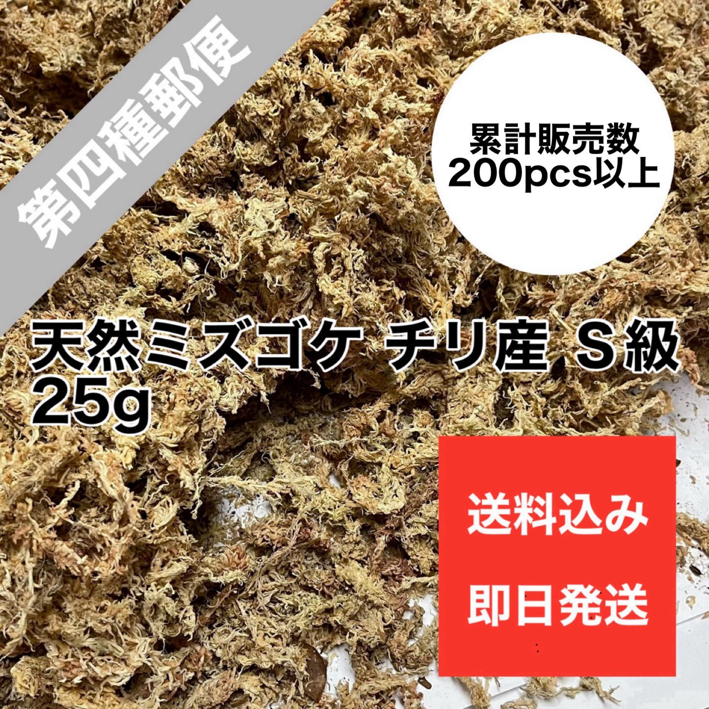 水苔 チリ産 高級 ５ｋｇ 無地パッケージ つまらな