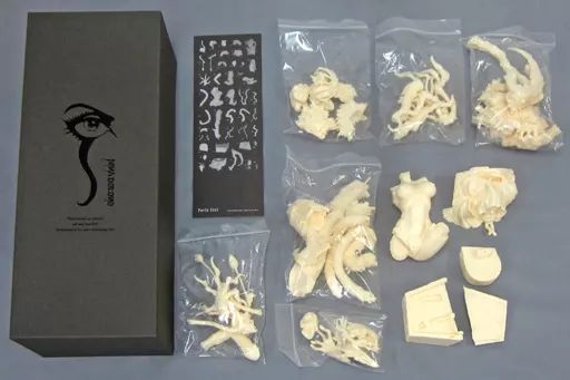 フィギュア　ニナ・ドロノ 「PHANTOM CORE」 ガレージキット ワンダーフェスティバル2017冬＆イベント限定 中古】フィギュア ニナ・ドロノ 「PHANTOM CORE」 ガレージ