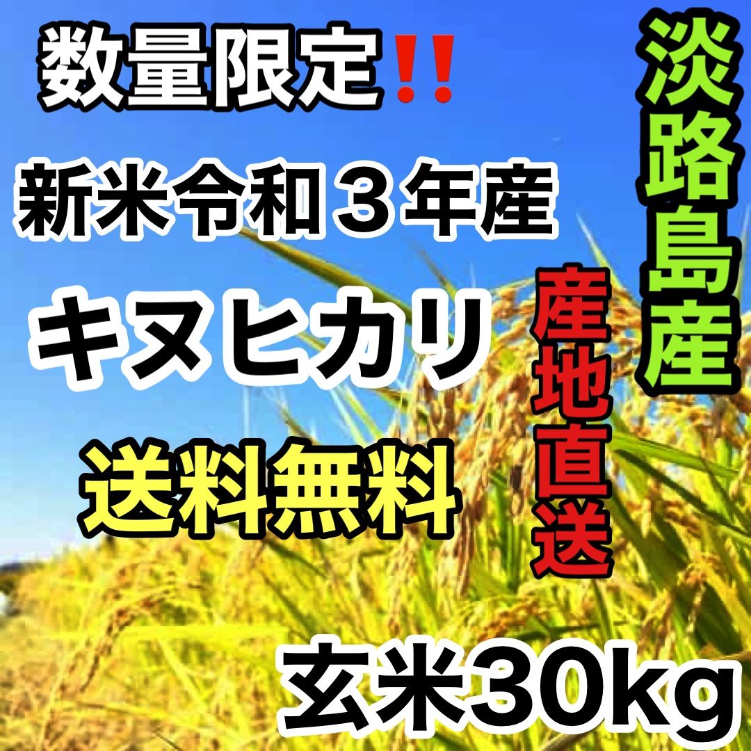 兵庫県産キノヒカリ30キロ送料込‼️精米込‼️