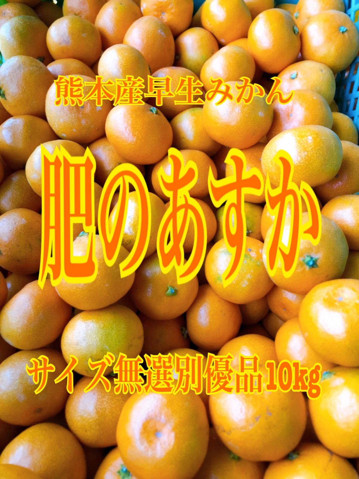 熊本産早生みかん(肥のあすか)サイズ無選別優品10kg - メルカリ