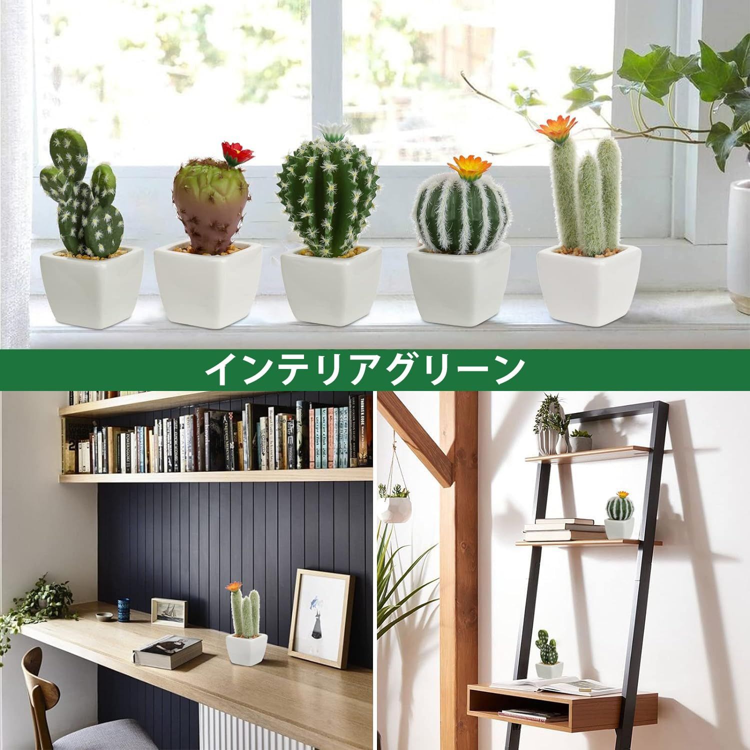人工 多肉植物ミニ 観葉植物 卓上 サボテン 鉢植え エアプランツ