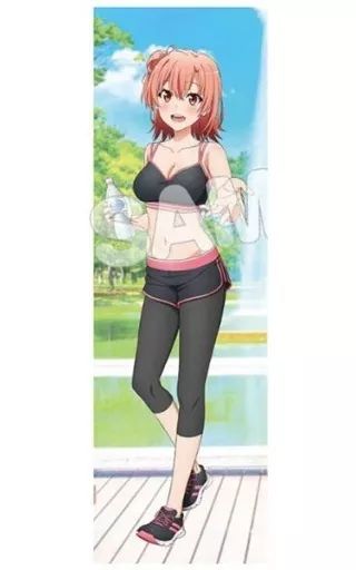 再販やはり俺の青春ラブコメはまちがっている。完 描き下ろし 【HK60