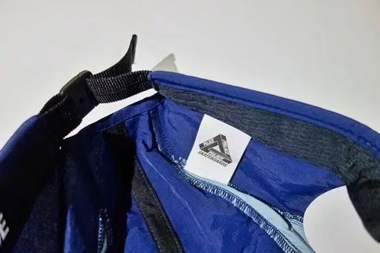 パレス ランナー