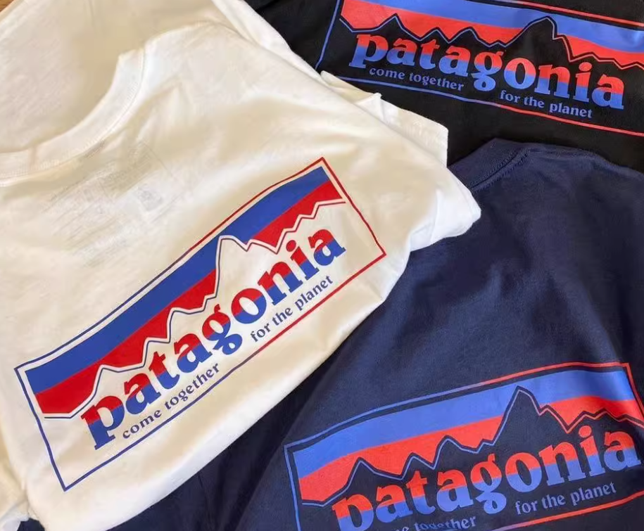 一つだけ★新品★処里 ★激安 ブランド: Patagonia / パタゴニア パタゴニア Tシャツ サイズ: XL 男女兼用