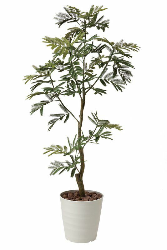 光触媒観葉植物 ネムノ木1.55/光触媒〔フロアタイプ(ハイサイズ)〕/光触媒 観葉植物 ウンベラータ フェイクグリーン 花 胡蝶蘭 開店祝い 開業祝い 誕生祝い 造花 アートフレーム おしゃれ 飾