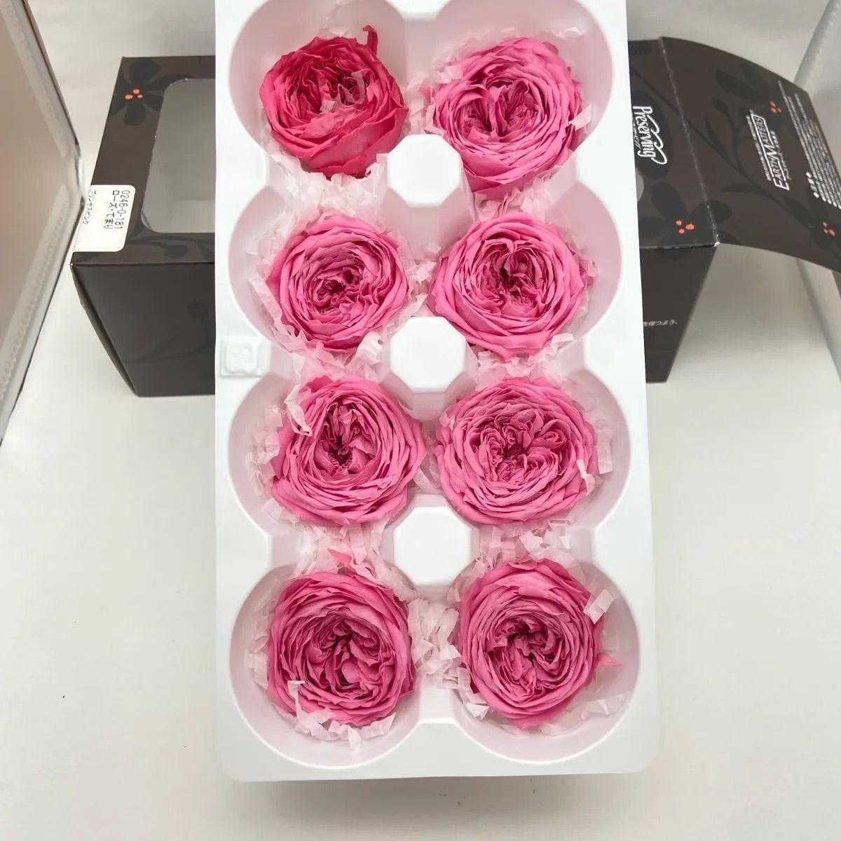 プリザーブドフラワー花材】03 ローズ バラ てまり ピンク 2色入り8輪