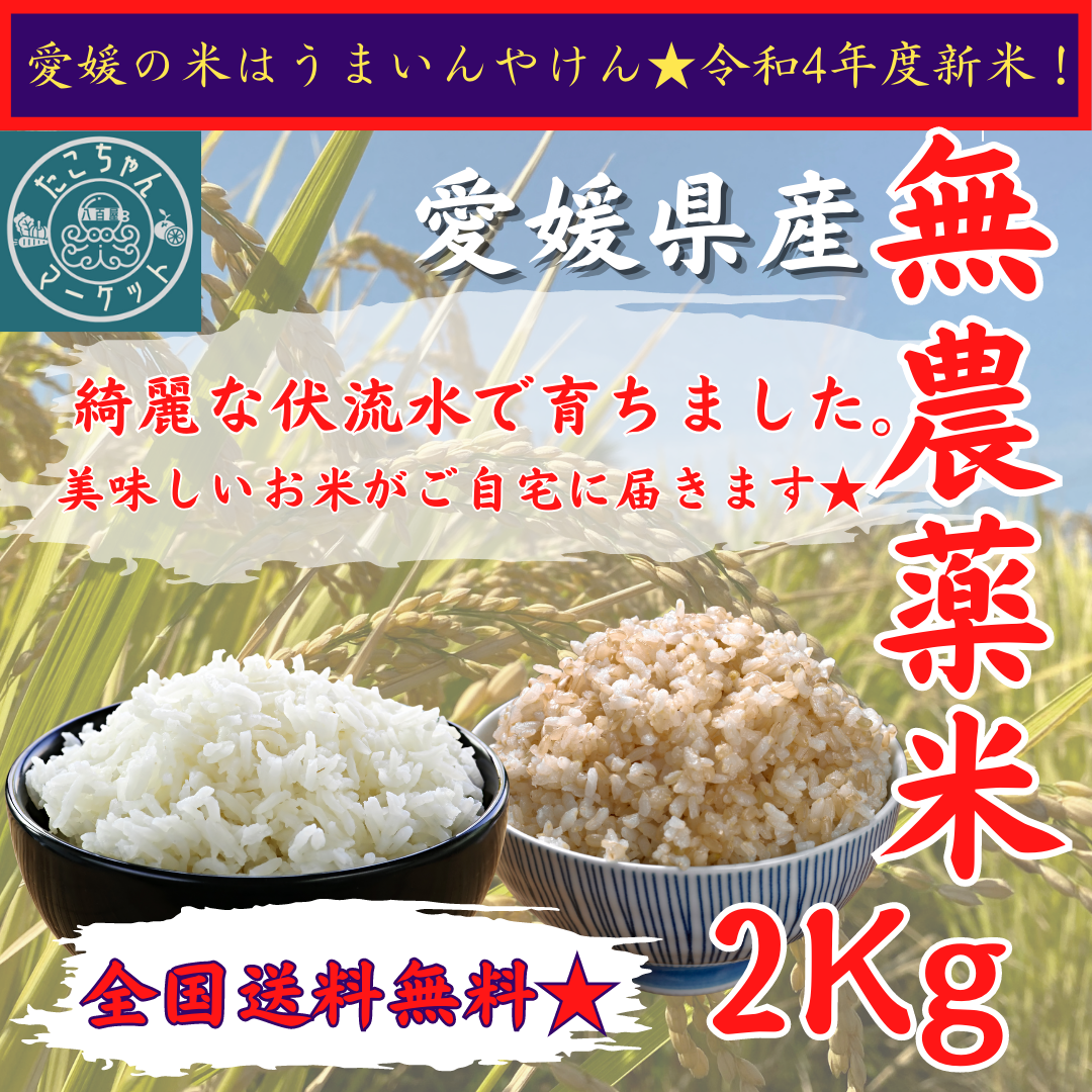 新米セール！無農薬米 令和5年度 愛媛県産お米 コシヒカリ - 米