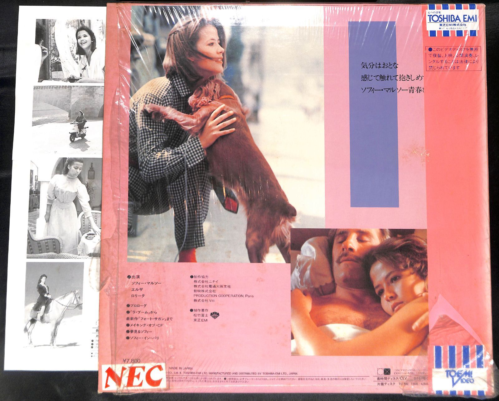 ソフィーマルソー y-moviei-mages_30543