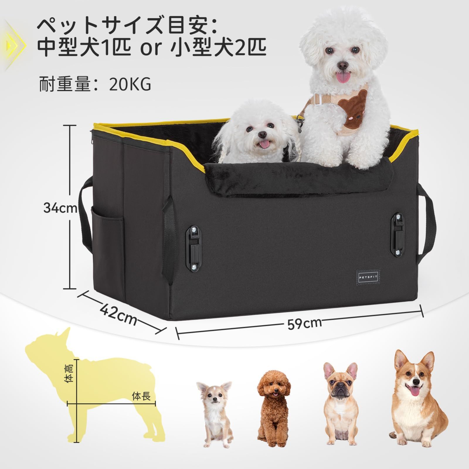 犬