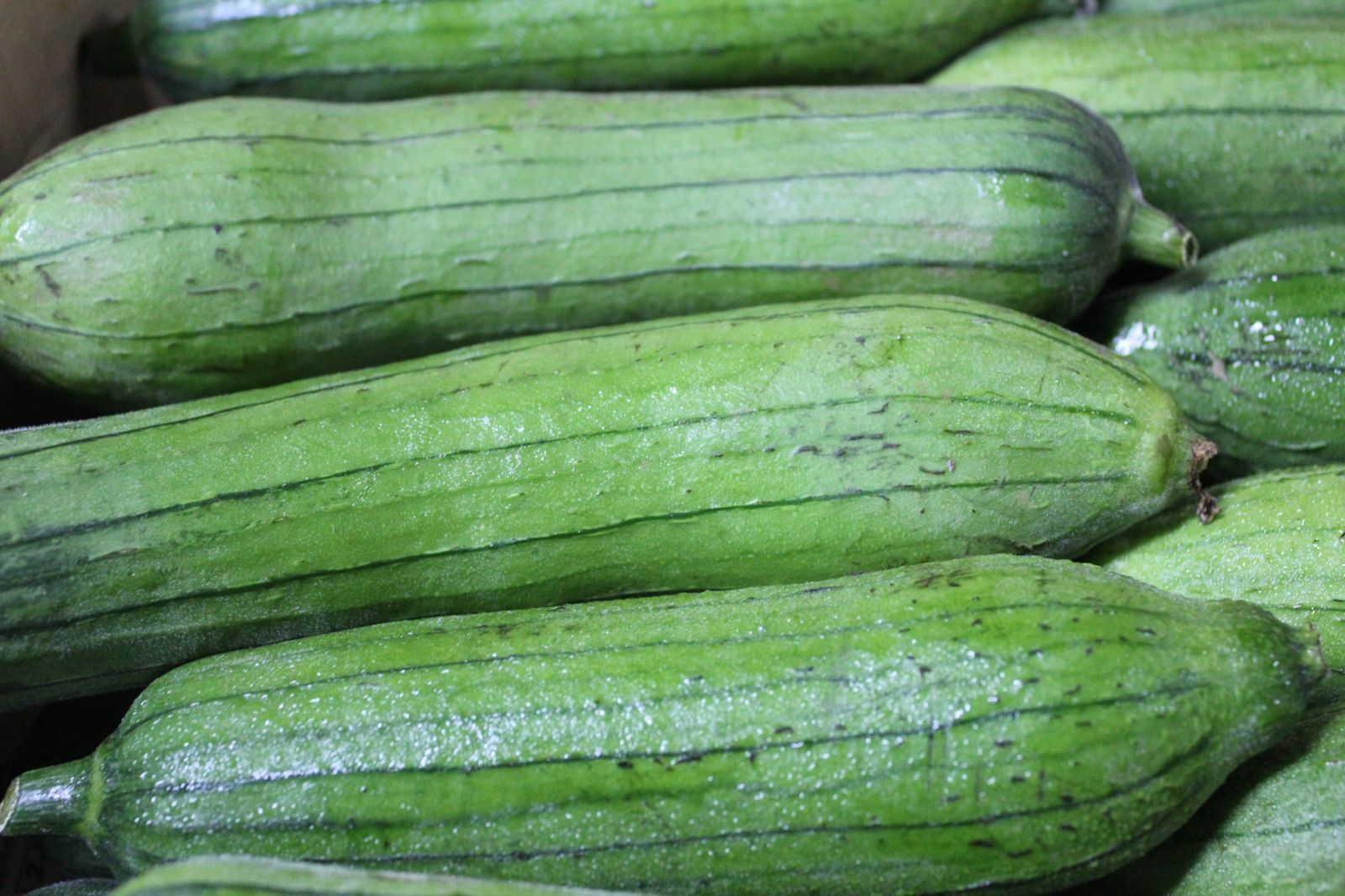 へちま（ナーベラー）2キロ　沖縄野菜　沖縄産