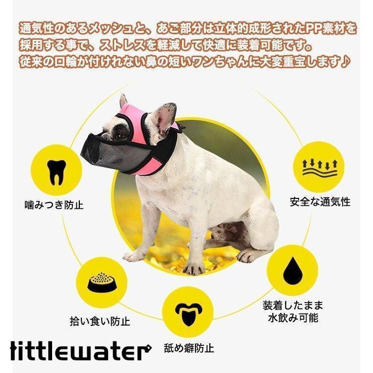 短い鼻の犬 犬の口輪
