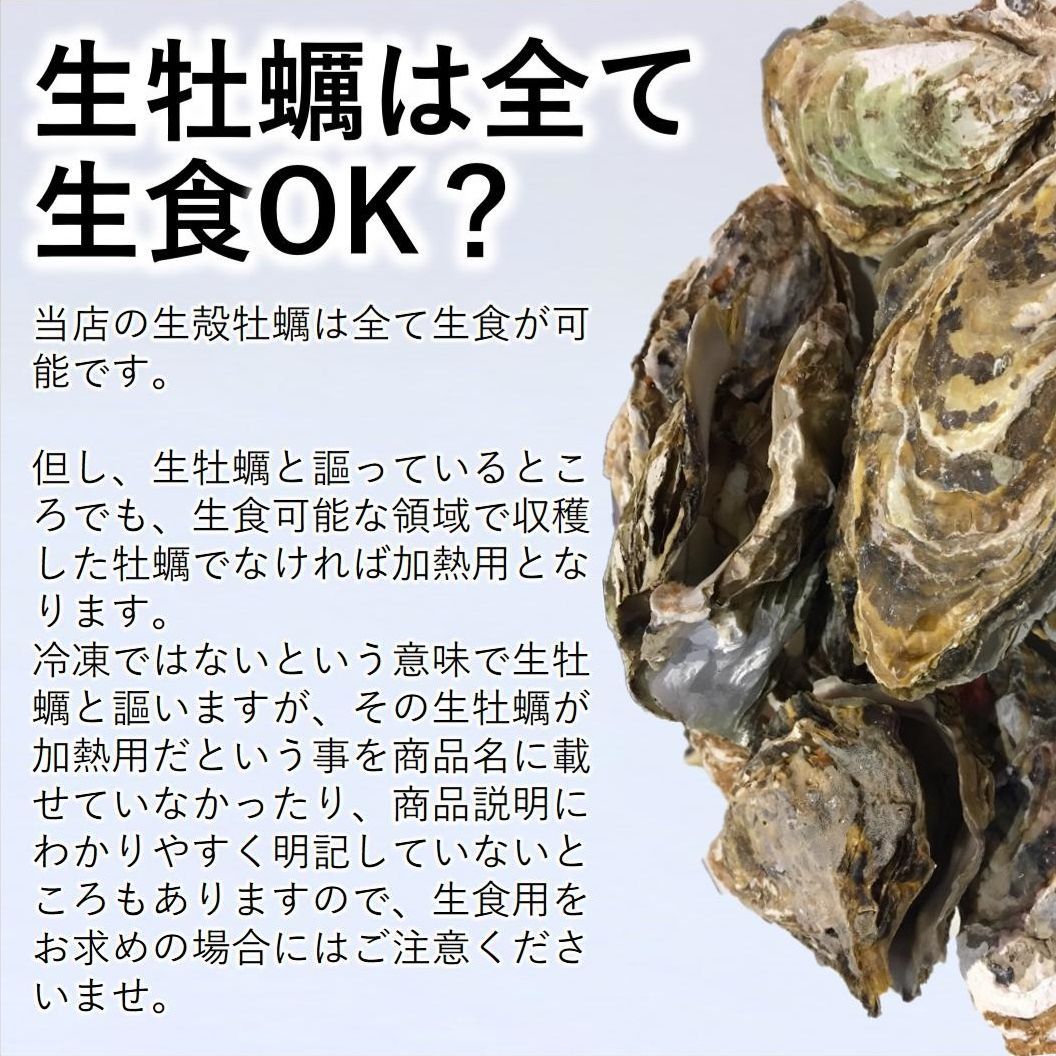 生食OK 5kg 三陸産 殻付き生牡蠣 数量限定 新鮮 宮城 石巻 鉄分