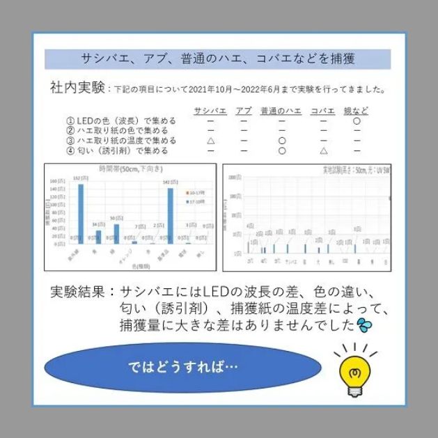 山羊 ハエトール