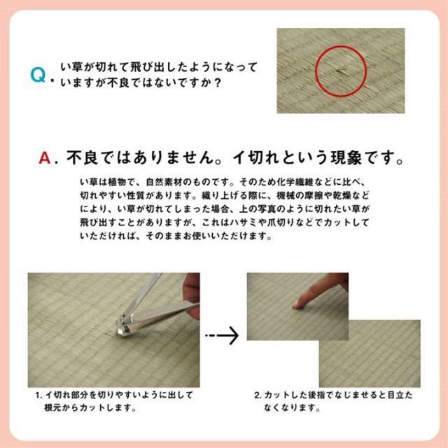 カーペット 制菌