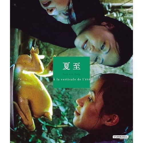 旧家蔵出 巨大 浮き彫り 天然彫刻 黄楊木 宝刀 雙獅·龍彫刻 鎮座 鎮宅置物