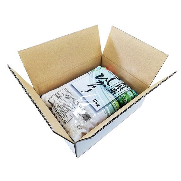 米 山形産コシヒカリ10kg  お米 令和6年産 白米 送料無料（沖縄のぞく）
