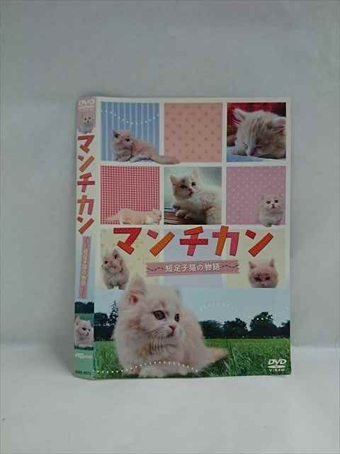 Yahoo!オークション - 「小野由可里」 USED 正規品 匿名配送 即納